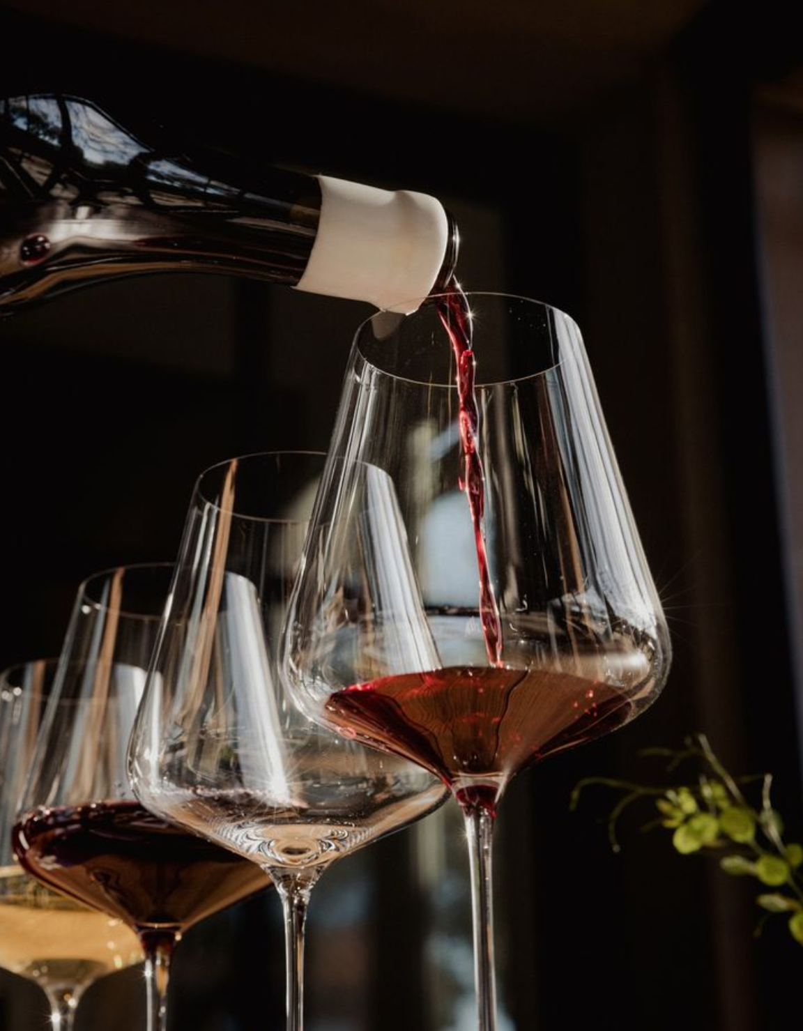 Wine Forms
